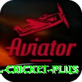 bbl cricket - Slots Royal