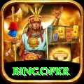 bingopkr - Pro Earning App
