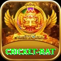 cricket bat - VIP Master