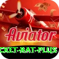 cricket bat Max v1.2.9