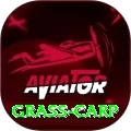 grass carp Deluxe v4.4.4