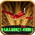 halibut fish Casino Pro v4.6.8
