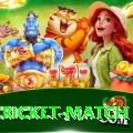 india cricket match Casino Max v3.0.2