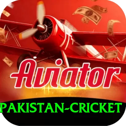 india pakistan cricket Mobile Plus - 2