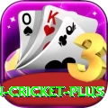 india pakistan cricket King v2.7.6