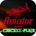 international cricket Casino Super v3.3.7