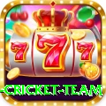 netherlands cricket team Legend Latest v1.8.1