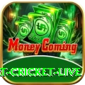 smart cricket live Deluxe 2024