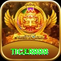 tiger888 - Prime Earning App