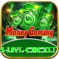 watch live cricket Mega Latest v3.6.8