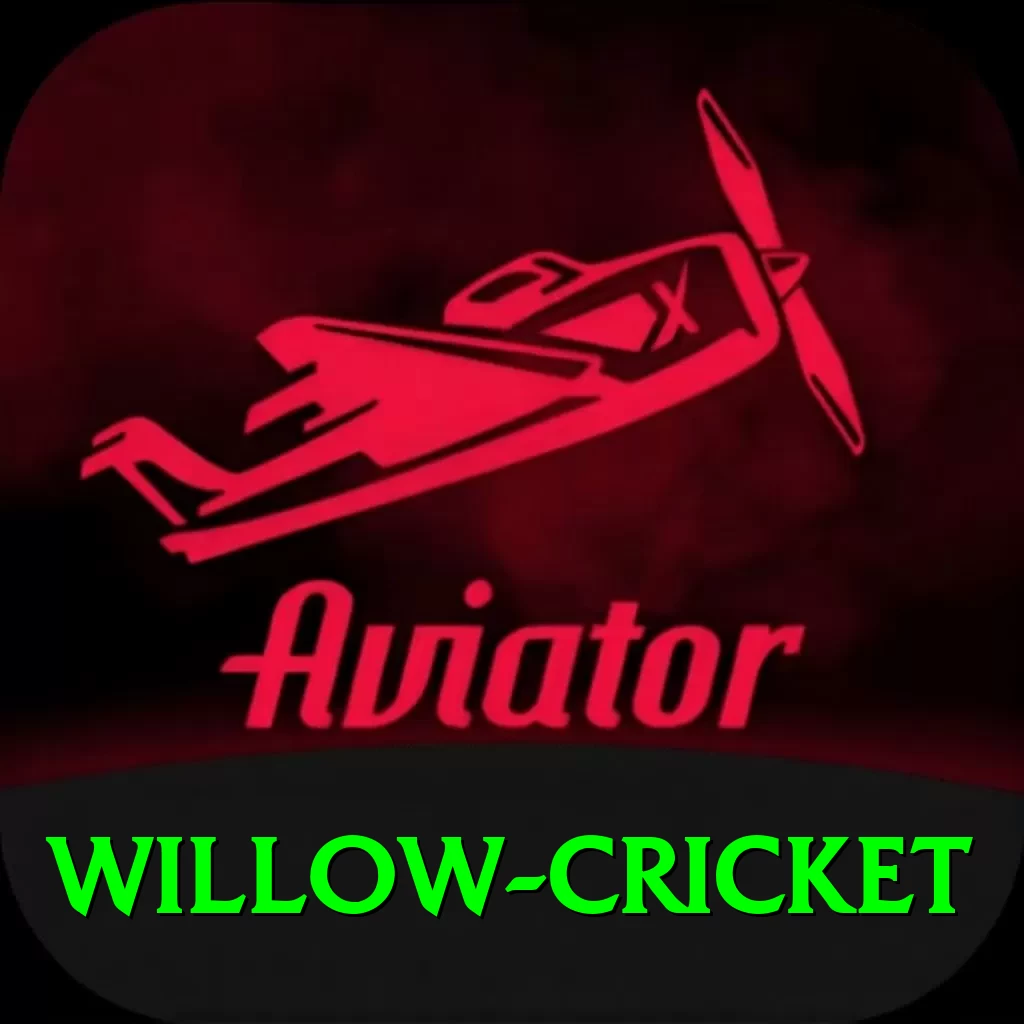 willow cricket VIP New - 2