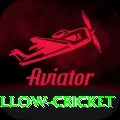 willow cricket VIP New